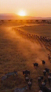 AI generated video: The moment the past decides to walk beside the future without speaking. Legacy…