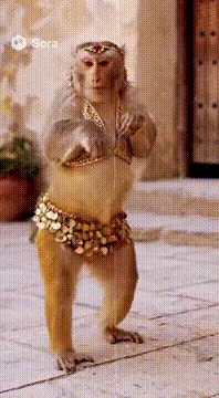 AI generated video: Realistic video of a monkey doing belly dancing. Super 8mm film look.