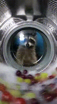 AI generated video: @goddaddy