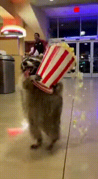 AI generated video: He went to the movies not to watch them 😂