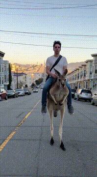 AI generated video: @samt riding a kangaroo to work through the streets of SF.